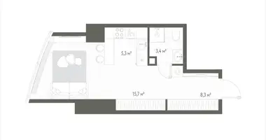 1 room apartment in Russia