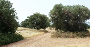 Terrain dans Polygyros Municipality, Grèce