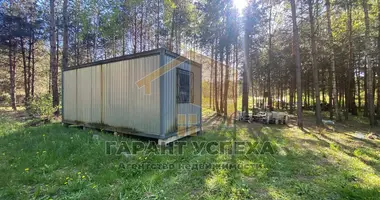 Plot of land in Radvanicki sielski Saviet, Belarus