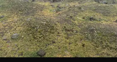 Terrain dans Roustavi, Géorgie