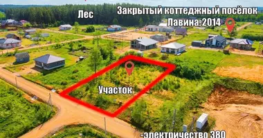 Plot of land in Zabalocki sielski Saviet, Belarus
