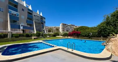 2 bedroom apartment in La Mata, Spain