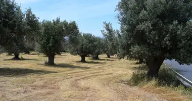 Parcela en Loutra, Grecia