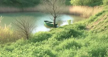 Parcela en Gachiani, Georgia
