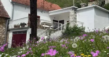 Casa en Niksic, Montenegro