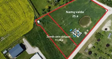 Участок земли в Rodomisle, Литва