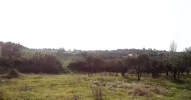 Terrain dans Nikiti, Grèce