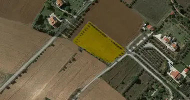 Terrain dans Neoi Epivates, Grèce