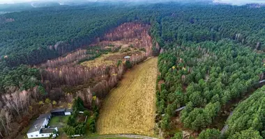 Plot of land in Gizalki, Poland