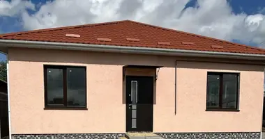 3 room house in Nerubaiske, Ukraine