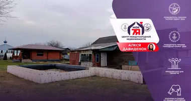 House in Maladzyechna, Belarus