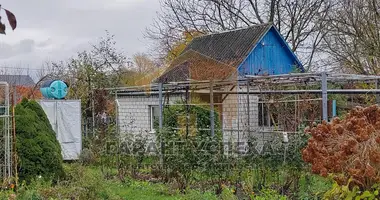 House in Matykalski sielski Saviet, Belarus