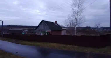 2 room house in Bialynicy, Belarus