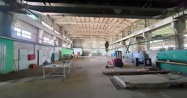 Zakład produkcyjny 4 619 m² w Krzyczew, Białoruś
