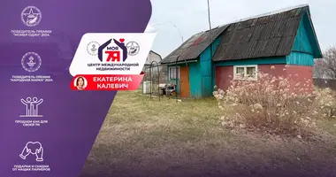 Haus in Rakauski sielski Saviet, Belarus