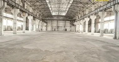 Produktion 12 000 m² in Nowalukoml, Belarus
