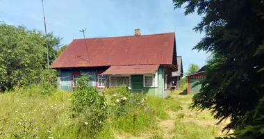 House in Bielaje, Belarus