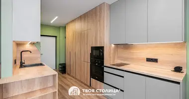 1 bedroom apartment in Minsk, Belarus