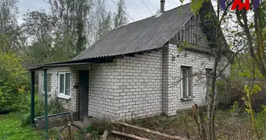 Haus in Kurhanski sielski Saviet, Belarus