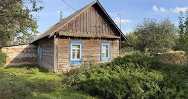 Haus 1 zimmer in Navapolski sielski Saviet, Belarus