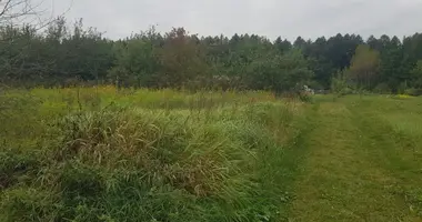 Działka w Scomyslicki sielski Saviet, Białoruś