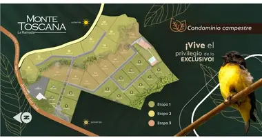 Grundstück in Anserma, Kolumbien