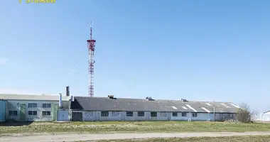 Производство 1 262 м² в Новоселье, Беларусь