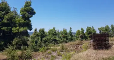 Terrain dans Kassandreia, Grèce