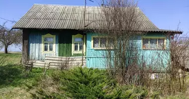 House in Zarecnaje, Belarus