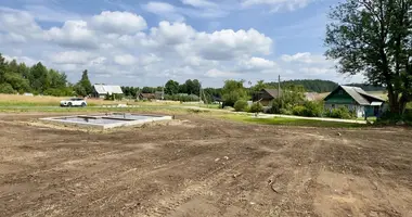 Plot of land in Rakauski sielski Saviet, Belarus