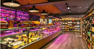 Commercial property 230 m² in Rome, Italy