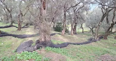 Działka w Agios Pantaleimonas, Grecja