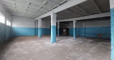 Nieruchomości komercyjne 500 m² w Olaine, Łotwa