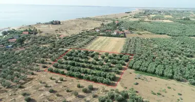Terrain dans Municipality of Nea Propontida, Grèce