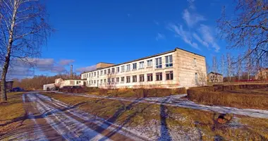 Producción 1 804 m² en Hotland rural council, Belarús