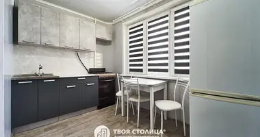 1 bedroom apartment in Minsk, Belarus