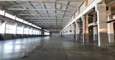 Almacén 10 245 m² en Stúpino, Rusia