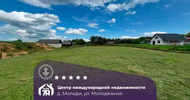 Działka w Svabski sielski Saviet, Białoruś