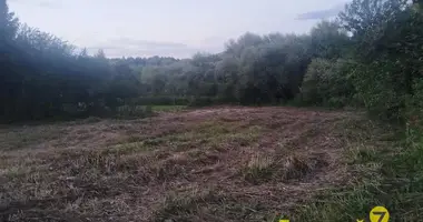Plot of land in Dziamidavicki sielski Saviet, Belarus