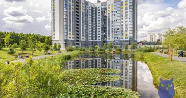 2 room apartment in Minsk, Belarus