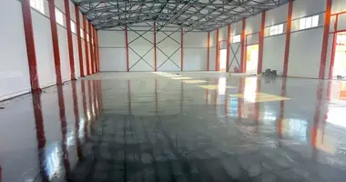 Warehouse 1 100 m² in Domodedovo, Russia