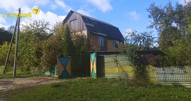 House in Lasanski sielski Saviet, Belarus
