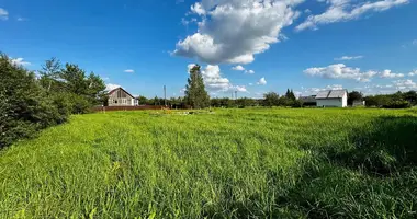 Grundstück in Smilavicki sielski Saviet, Belarus