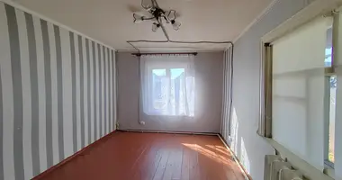 House in Barysaw, Belarus