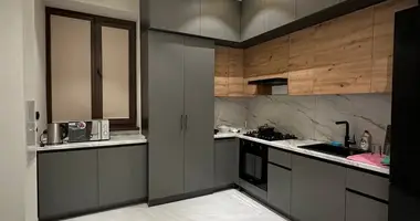 1 bedroom apartment in Tashkent, Uzbekistan