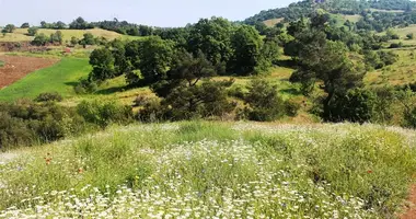 Parcela en Can Yenice Yolu, Turquía