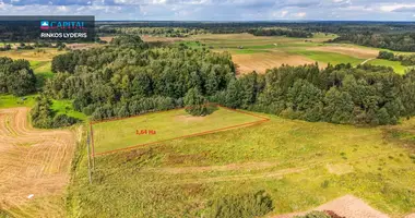 Участок земли в Laidagaliai, Литва