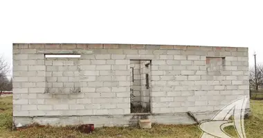 Haus in Lukava, Belarus