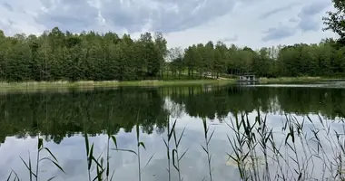 Участок земли в Luokesa, Литва