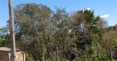 Участок земли в Сьюдад-дель-Эсте, Парагвай